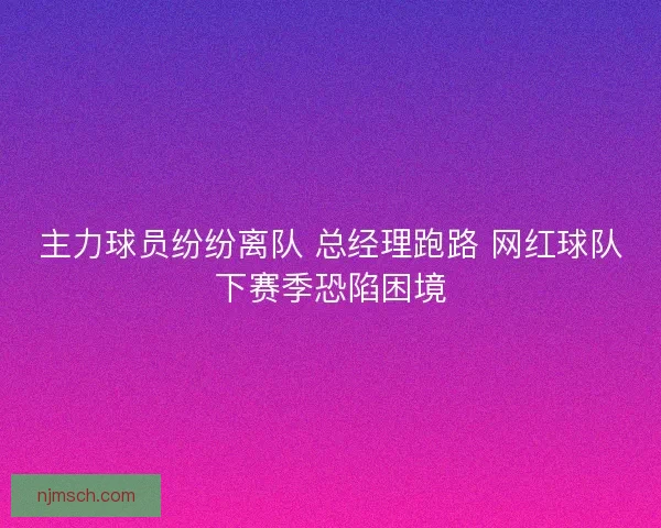 主力球员纷纷离队 总经理跑路 网红球队下赛季恐陷困境