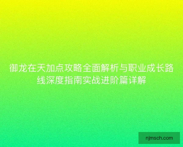 御龙在天加点攻略全面解析与职业成长路线深度指南实战进阶篇详解