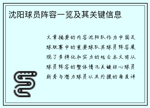 沈阳球员阵容一览及其关键信息