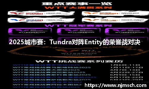2025城市赛：Tundra对阵Entity的荣誉战对决