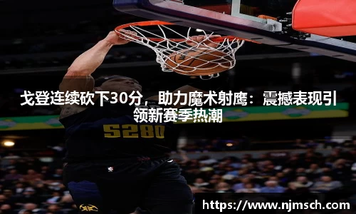 DG视讯平台