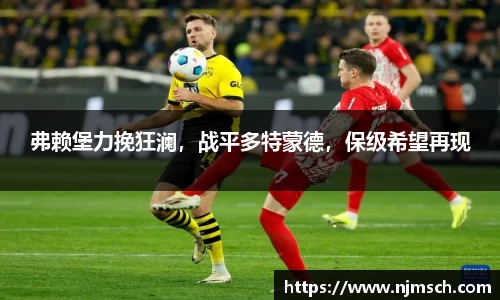DG视讯平台