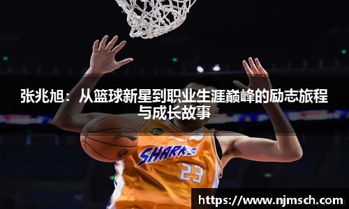 DG视讯官网